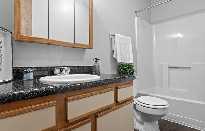 a bathroom with a sink and a toilet