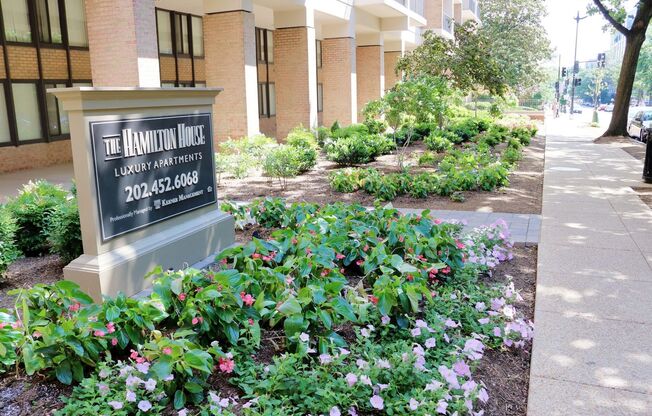 Studio, 1 bath, 470 sqft, $2,000