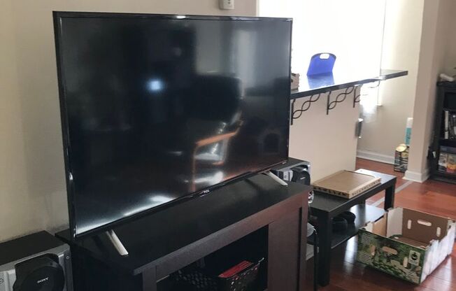 1 bed, 1 bath, 528 sqft, $1,300, Unit 206