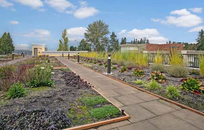 A landscaped rooftop garden here at Heritage Hills featuring a long paved walkway bordered by raised planting beds filled with grasses, shrubs, and seasonal greenery. The open space includes modern path lighting, clean wood edging, and views of surrounding trees, nearby buildings, and a bright sky with scattered clouds.