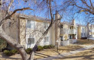 8555 Fairmount Drive #J207