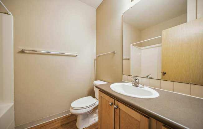 a bathroom with a sink toilet and a mirror