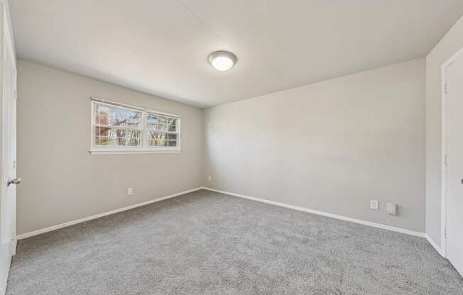 A room with a carpeted floor and a window with blinds.
