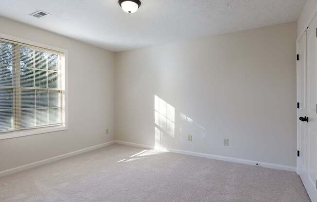 A sunny room with a window and carpeted floor.