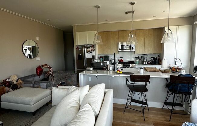 Spacious 2 Bed, 2 Bath Luxury Condo with Downtown Boston Views