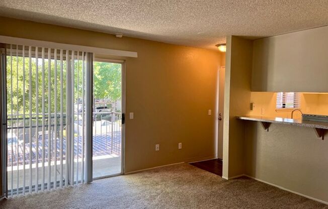 1 bed, 1 bath, 700 sqft, $1,500, Unit 90