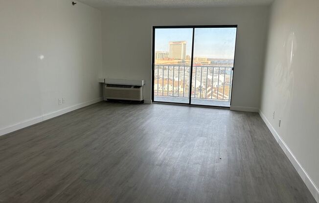 1 Bedroom 1 Bath with Balcony Apartment - Ready for Move in!