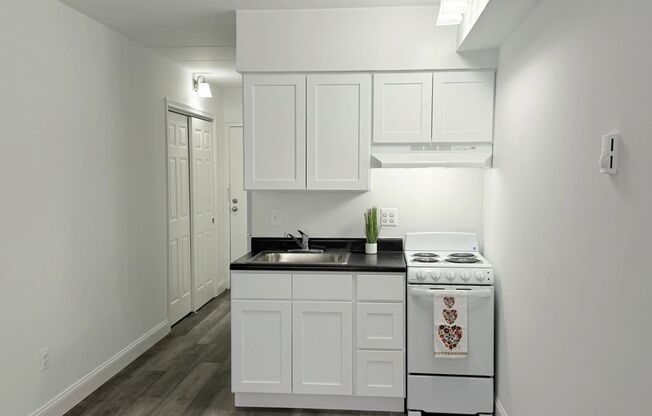 Studio, 1 bath, 310 sqft, $1,049, Unit 608A