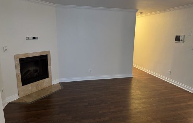 234 Daisy Ave