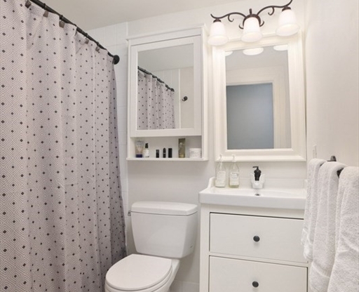 1 bed, 1 bath, 508 sqft, $3,300, Unit 501