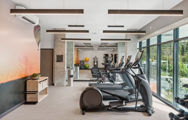 A gym with treadmills and exercise equipment.