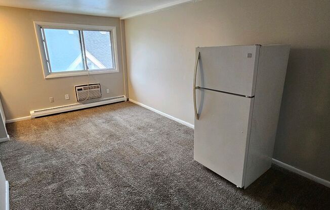 Studio, 1 bath, $916, Unit 310