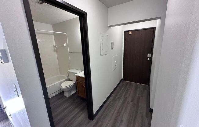 Studio, 1 bath, 275 sqft, $550, Unit 103