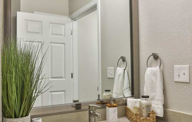 a bathroom with a sink and a mirror