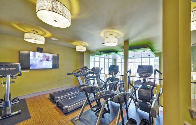 Multi-Level Fitness Center at Apartments 75219