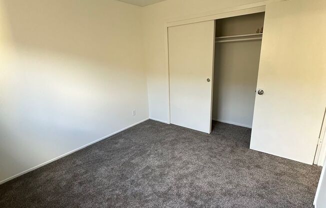 1 bed, 1 bath, $2,300, Unit Unit 202