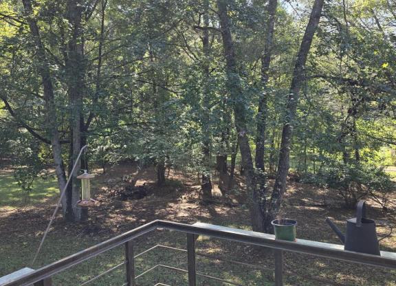 180 PINEWOOD DR