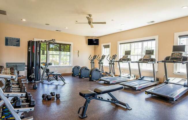 the fitness room has plenty of weights and cardio equipment