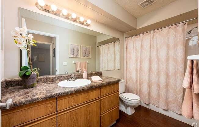 A bathroom with a sink, toilet, and shower.