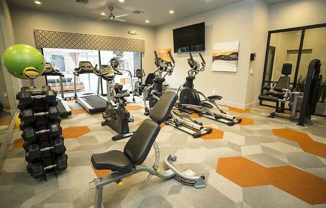 Variety of workout equipment at fitness center