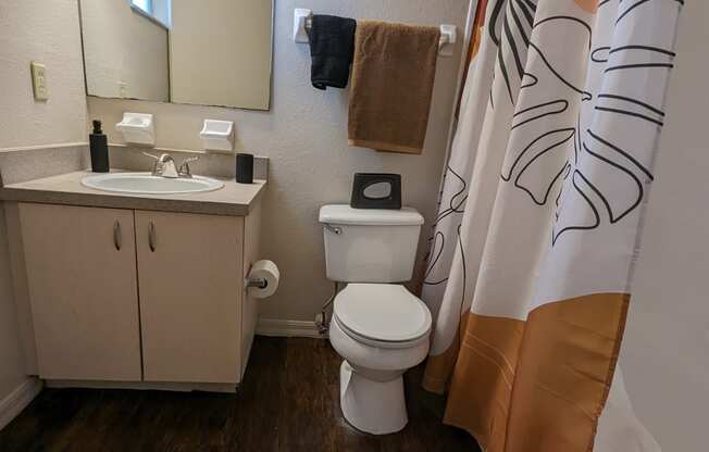 a bathroom with a toilet and a sink and a shower