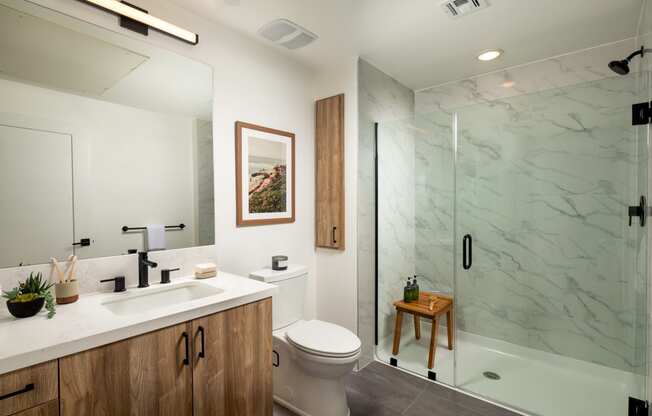 a bathroom with a sink toilet and a shower