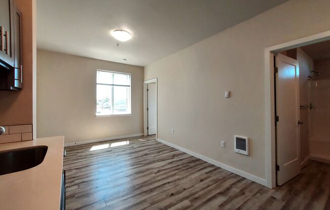 1 bed, 1 bath, $1,147, Unit A-102