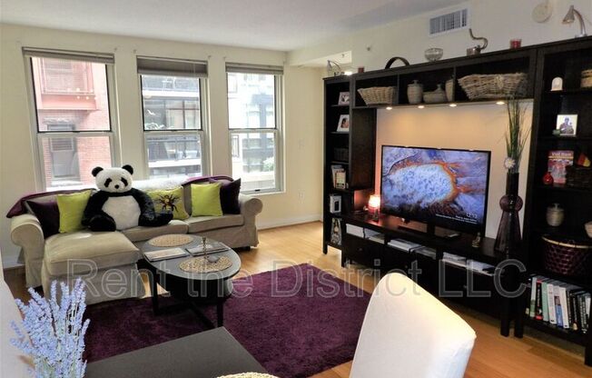 915 E Street NW #1002