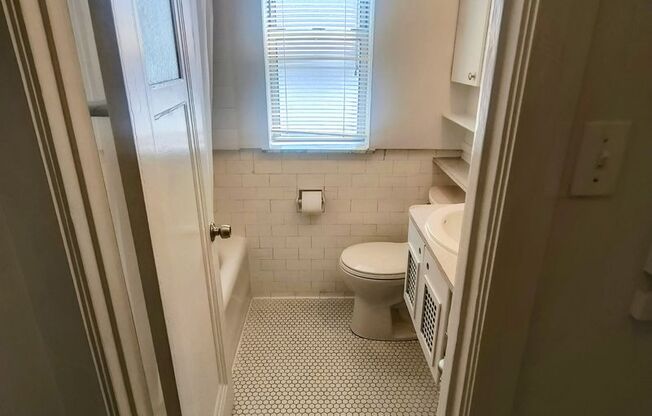 Studio, 1 bath, 241 sqft, $1,250, Unit 507