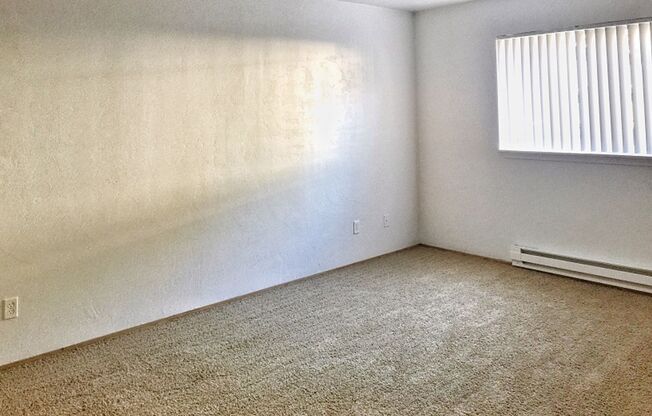 1 bed, 1 bath, $1,275, Unit 038