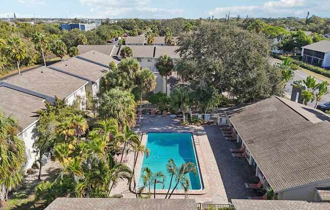 A swimming pool surrounded by palm trees and houses.