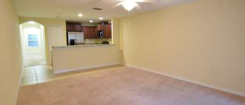 343 CARINA CIR
