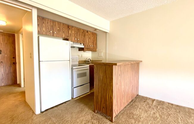 AVAILABLE NOW! STUDIO WITH 1 PARKING IN MAKIKI