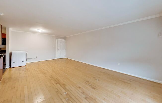 3107 Naylor Rd Unit 303 - Newly Renovated Two Bedroom One Bath Condo! Parking Included! HWFs, Full Kitchen, WD in Unit