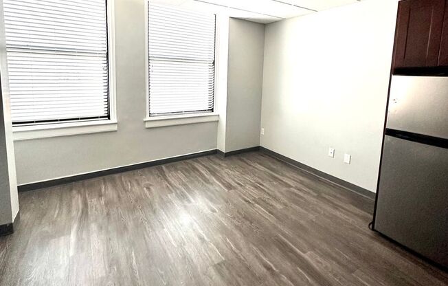 Studio, 1 bath, 250 sqft, $1,395, Unit 0402