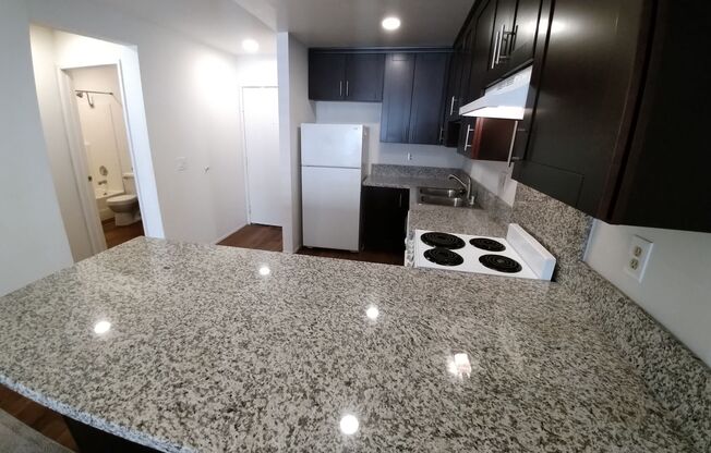 1 bed, 1 bath, 500 sqft, $1,995, Unit 105