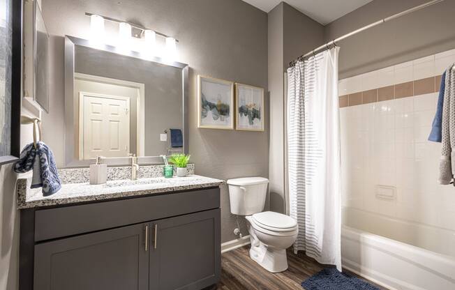 Bathroom at 501 Estates apartment homes in Durham, NC