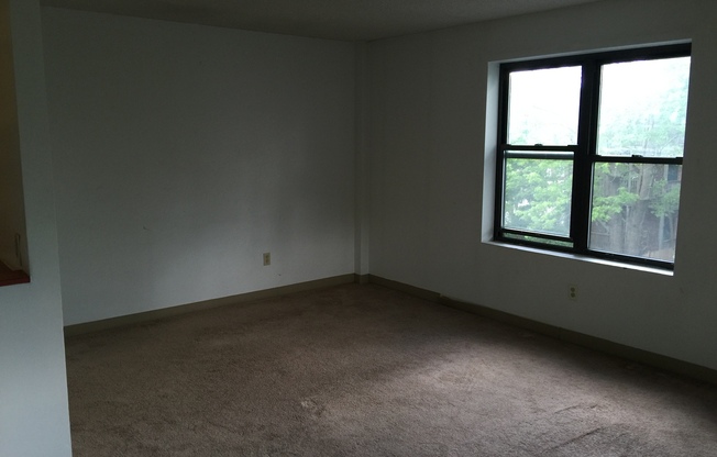 Spacious 3-bed 1.5 Bath in Excellent Neighborhood