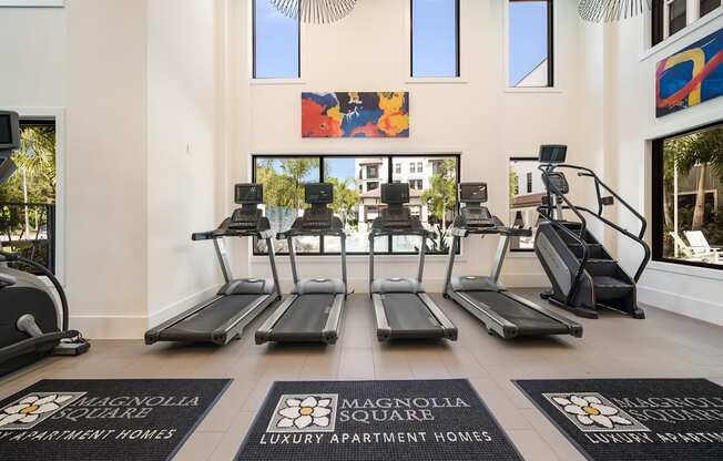 a row of treadmills in a fitness room with windows at Magnolia Square, Naples, 34109