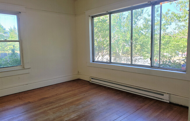 Beautiful 4 Bedroom House on Campus!