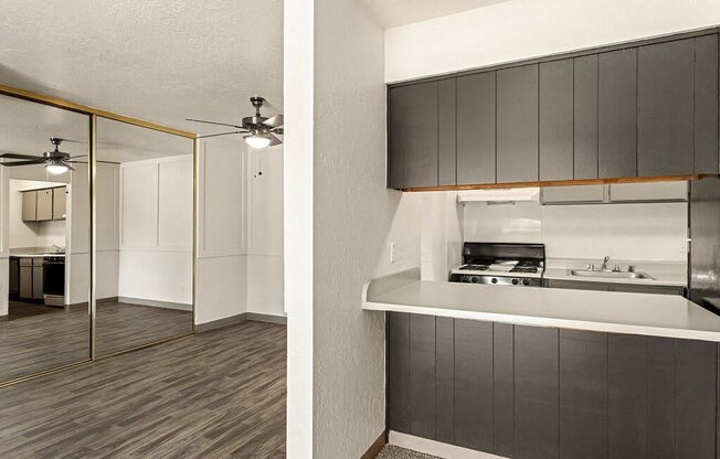 a kitchen and a living room with a mirrored door