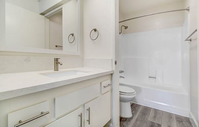 a bathroom with a sink and a toilet