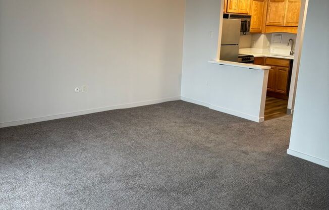 Studio, 1 bath, 580 sqft, $1,375, Unit 102