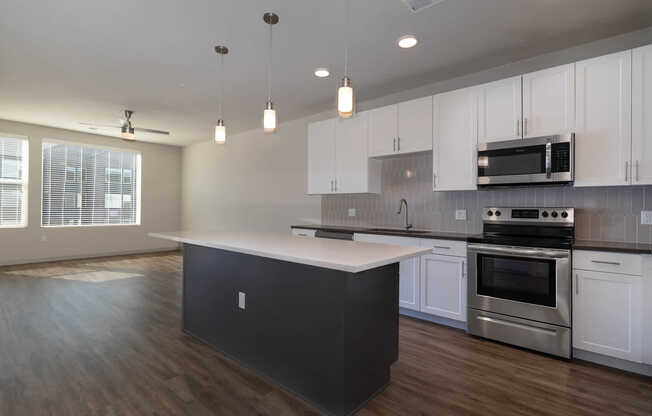 Kitchen and Living Area with Hard Surface Flooring