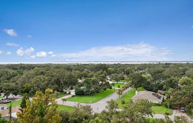 A residential area with houses surrounded by trees at Hampton Apartments, Clearwater 33759