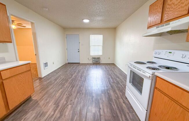 1 bed, 1 bath, 480 sqft, $600