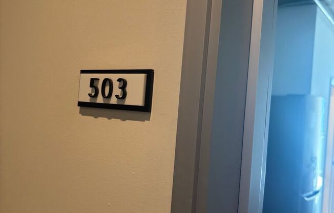 Studio, 1 bath, 382 sqft, $1,995, Unit 503