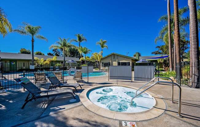 A hot tub sits in the middle of a pool surrounded by palm trees.