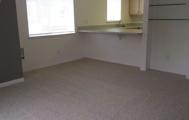 1 bed, 1 bath, 720 sqft, $1,250, Unit 15