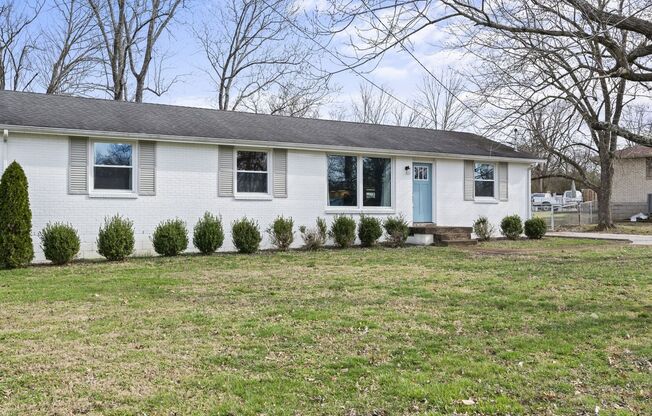 Newly Renovated Ranch in the Heart of Hendersonville!